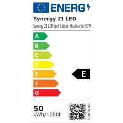 LED Fluter Outdoor 50W kaltweiß 4500lm dimmbar ESG...