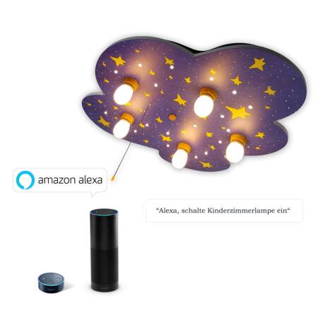 Niermann Deckenleuchte Nachthimmel  Amazon Alexa kompatibel Schlummerlichtfunktion Zugschalter 5x E14 max.25W 20LED Lichtpunkte IP20