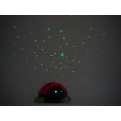 Niermann Standby Nachtlicht Beetlestar Sternen Projektor Marienkäfer batteriebetrieben Farbwechsel gelb blau grün