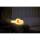 Niermann Standby Nachtlicht Doggy Dog 1,5W LED Akku dimmbar Timer