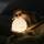 Niermann Standby Nachtlicht Momo Moon Akkubetrieb Timer 15 Min dimmbar 3W LED warmweiß