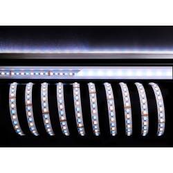 LED Strip 5m RGB-W 3000K 65W 24V DC Ra>90 Deko-Light EEK G [A-G]