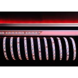 LED Strip 5m RGB-W 3000K 70W 24V DC Deko-Light EEK G [A-G]
